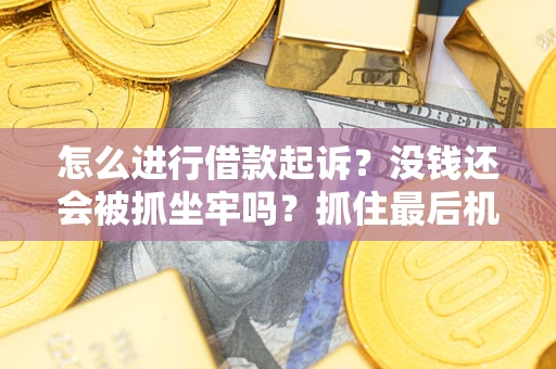 北京怎么进行借款起诉？没钱还会被抓坐牢吗？抓住最后机会！