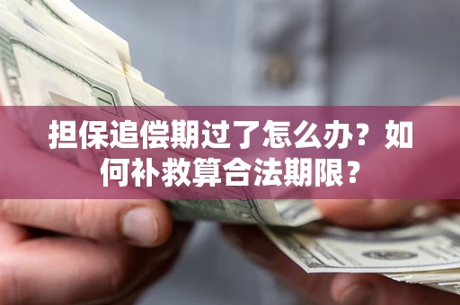 北京担保追偿期过了怎么办？如何补救算合法期限？