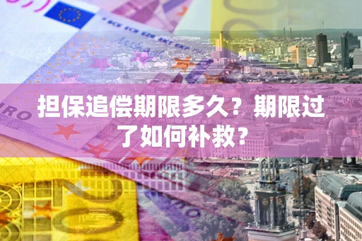 北京担保追偿期限多久？期限过了如何补救？